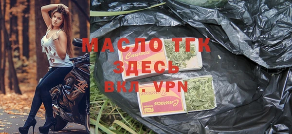 стаф Дмитриев