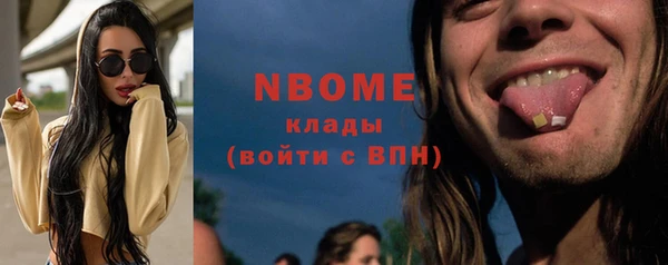 стаф Дмитриев