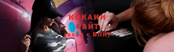 твердый Дмитровск