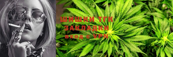 стаф Дмитриев