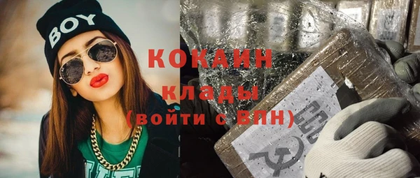 стаф Дмитриев
