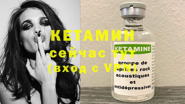 стаф Дмитриев