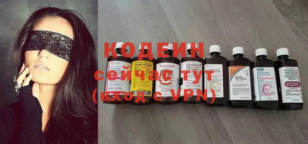 твердый Дмитровск
