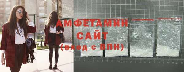 твердый Дмитровск