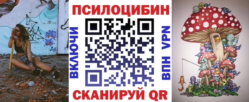 Псилоцибиновые грибы Cubensis Купить где Суджа